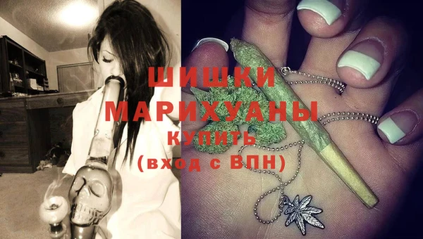 гидра Красноперекопск